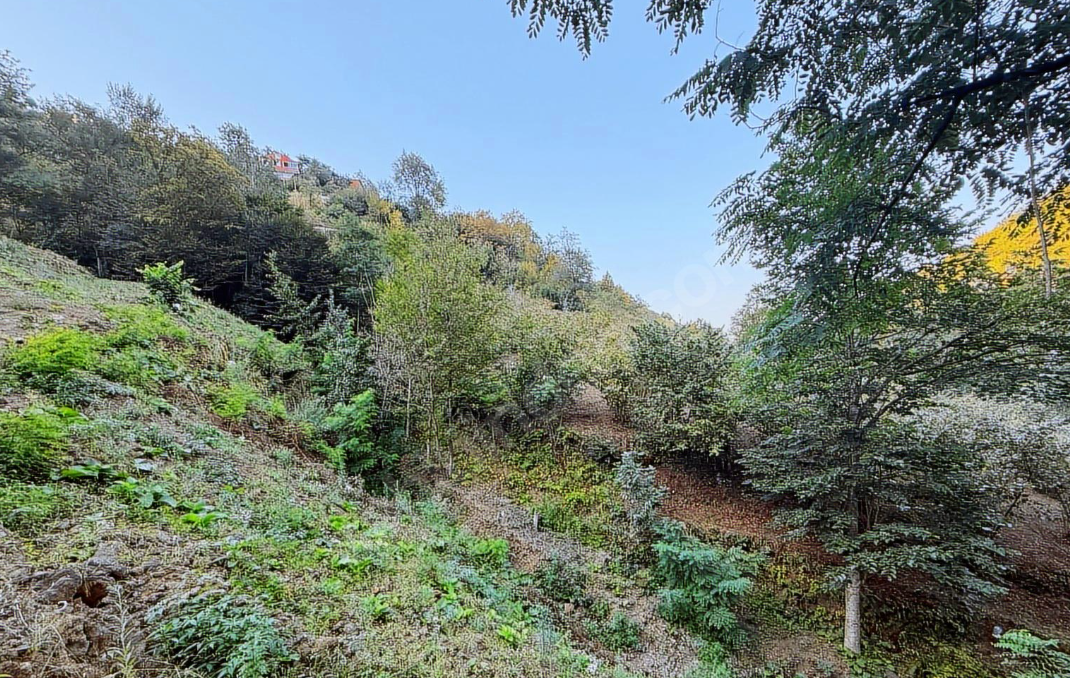 MERSİN'DE SATILIK 6 DÖNÜM FIRSAT ARSA